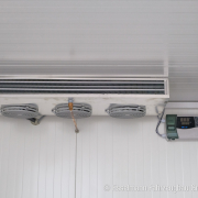 sofort-verfuegbar-kuehlanhaenger-ft5-galerie-15